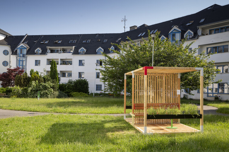 Leva makes life better for senior citizens